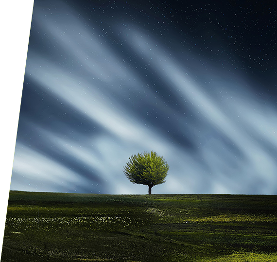 鼎博·(中国游)有限公司官网