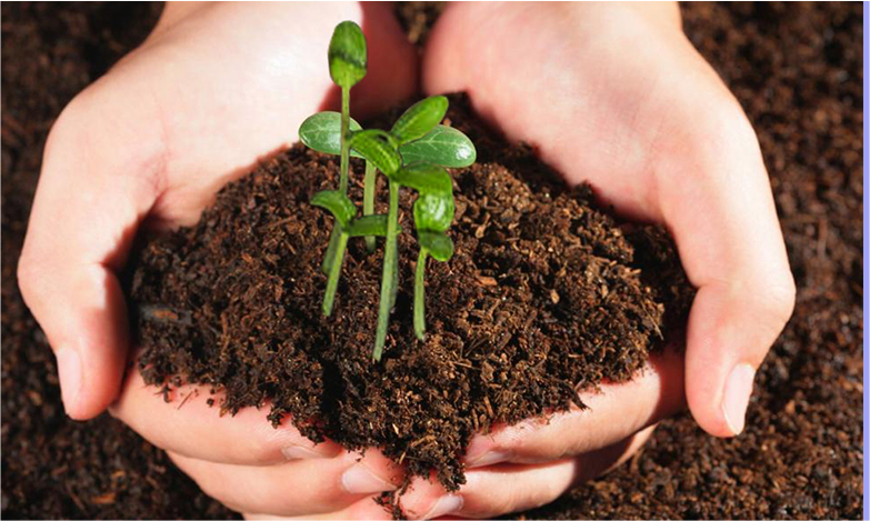 鼎博·(中国游)有限公司官网